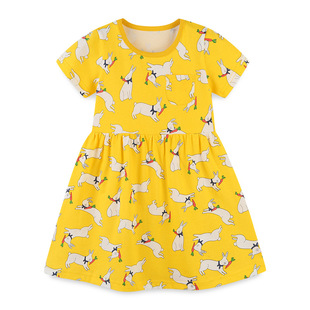 Girl Dress