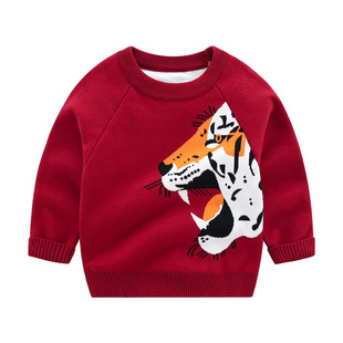 Boy Sweater 