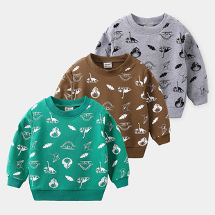 BOY SWEATSHIRT