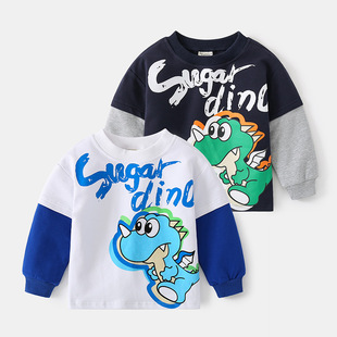 BOY SWEATSHIRT