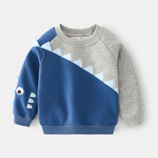 BOY SWEATSHIRT