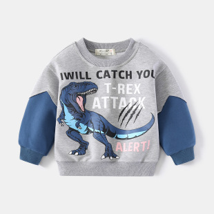 BOY SWEATSHIRT