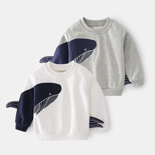 BOY SWEATSHIRT