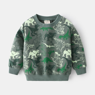 BOY SWEATSHIRT
