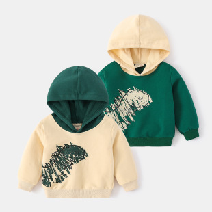 BOY HOODIES 